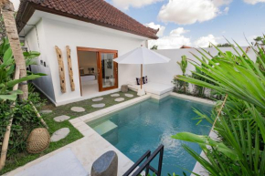 Luxury 2 bedrooms villa Putih Pererenan